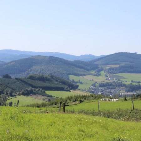Haus Bergeshoeh Hochsauerland 에슬로헤 외부 사진