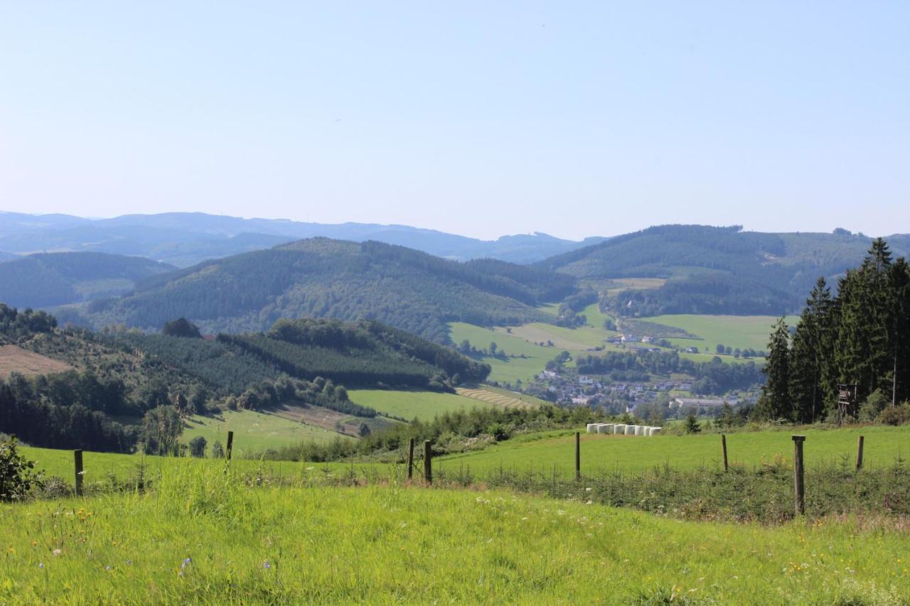 Haus Bergeshoeh Hochsauerland 에슬로헤 외부 사진